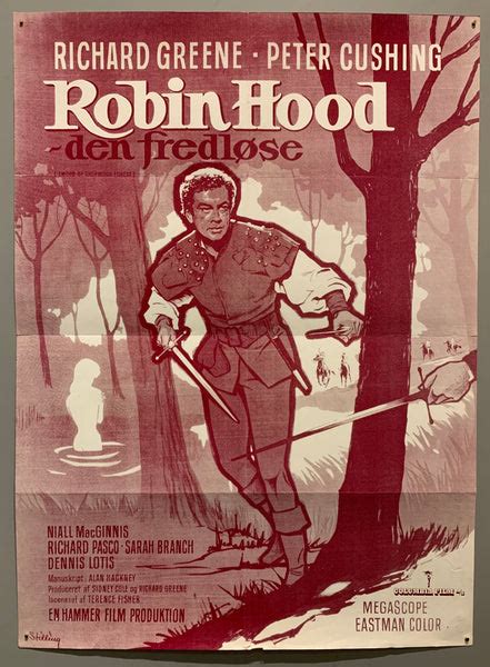 new Robin Hood - den fredløse